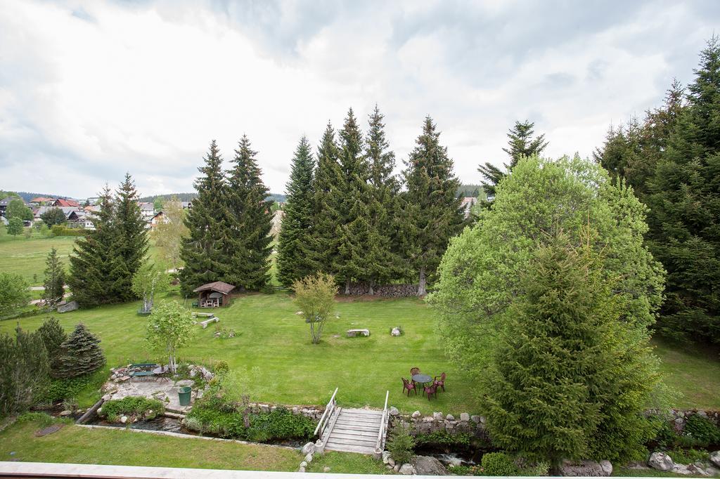 Pension Tannenheim Schluchsee Cameră foto
